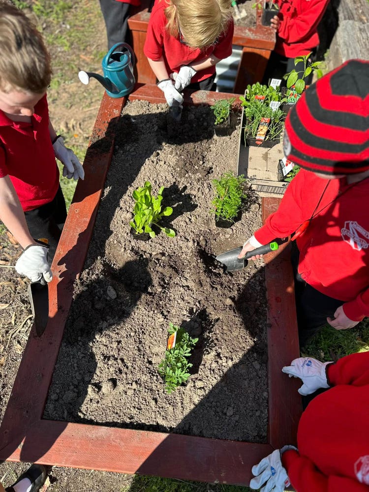 Students tending to garden bed